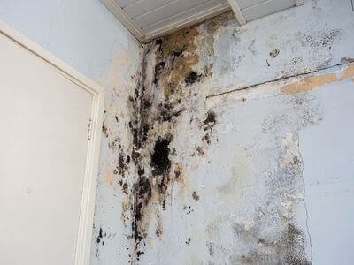 About Dependable Restoration - water damage restoration experts in Mississauga